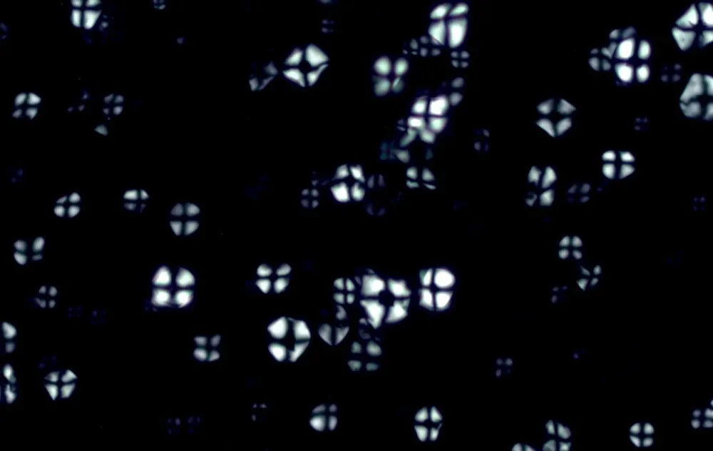 Resistant starch molecules under microscope